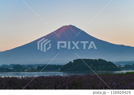 夜明け前の富士山 116920429