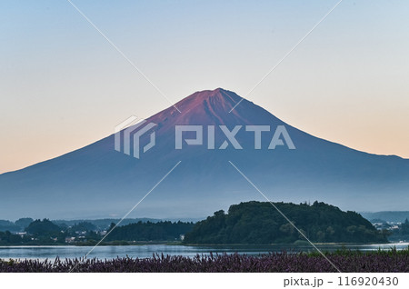 夜明け前の富士山 116920430