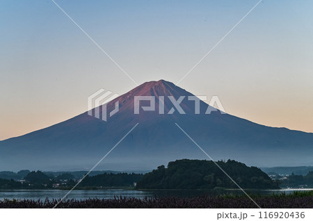 夜明け前の富士山 116920436
