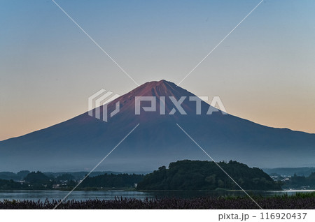 夜明け前の富士山 116920437