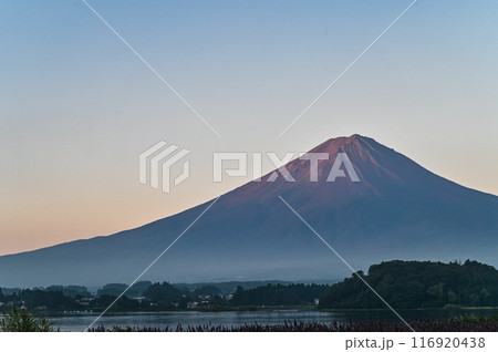 夜明け前の富士山 116920438