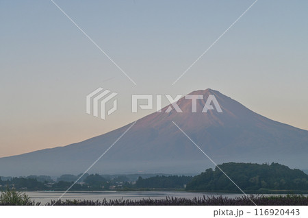 夜明け前の富士山 116920443