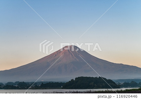 夜明け前の富士山 116920446