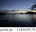 夜明けの海 116920579