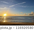朝日に照らされた海 116920580