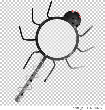 Halloween Halloween 116920697