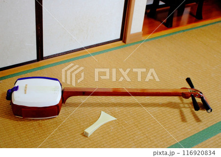 和室に置かれた三味線 和室に置かれた三味線 116920834