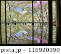 のれんが揺れて水面に映る心落ち着く京都の風景 116920990