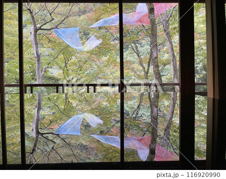 のれんが揺れて水面に映る心落ち着く京都の風景 のれんが揺れて水面に映る心落ち着く京都の風景 116920990