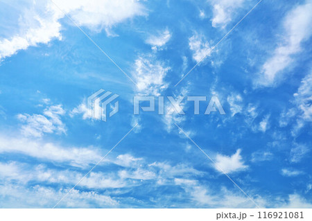 秋の青空と雲 116921081
