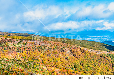 福島 紅葉に染まる安達太良山 116921263