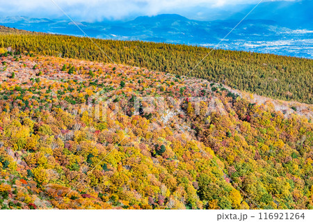 福島 紅葉に染まる安達太良山 116921264