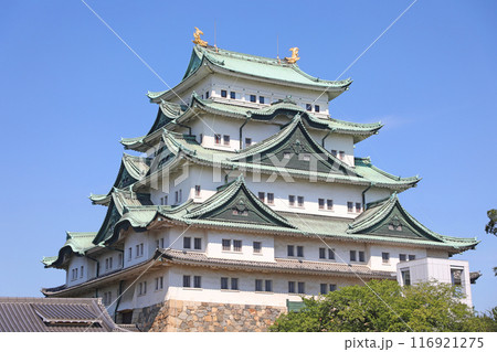 名古屋城 天守閣 名古屋城 天守閣 116921275