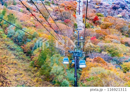 福島 紅葉に染まる安達太良山 116921311