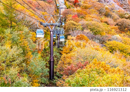 福島 紅葉に染まる安達太良山 福島 紅葉に染まる安達太良山 116921312