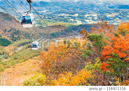 福島 紅葉に染まる安達太良山 116921316