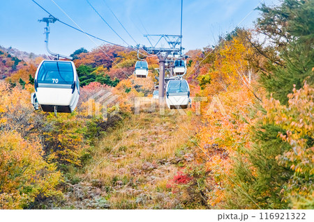 福島 紅葉に染まる安達太良山 福島 紅葉に染まる安達太良山 116921322
