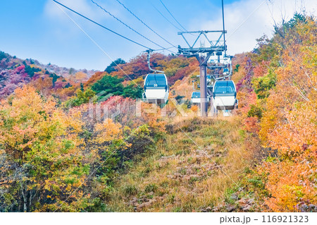 福島 紅葉に染まる安達太良山 福島 紅葉に染まる安達太良山 116921323