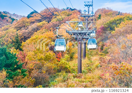 福島 紅葉に染まる安達太良山 116921324
