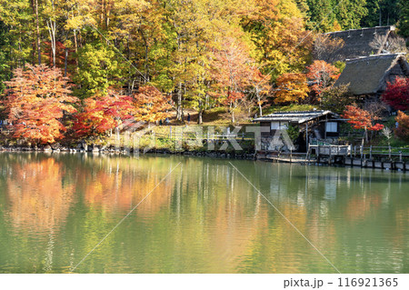 水面に映る紅葉の風景 水面に映る紅葉の風景 116921365