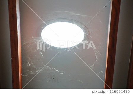 Round led lights on white ceiling Round led lights on white ceiling 116921450