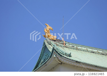 名古屋城　天守閣の金の鯱 116921465