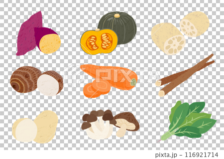 Set of hand-drawn illustrations of autumn vegetables 116921714