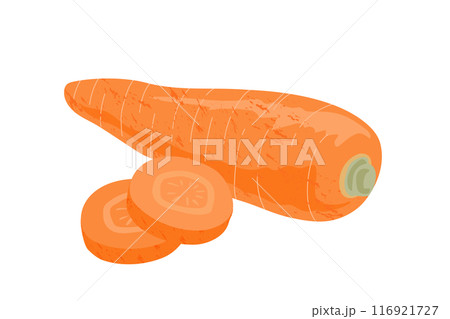 人参の手描き風イラスト 116921727