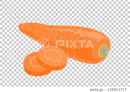 人参の手描き風イラスト 116921727