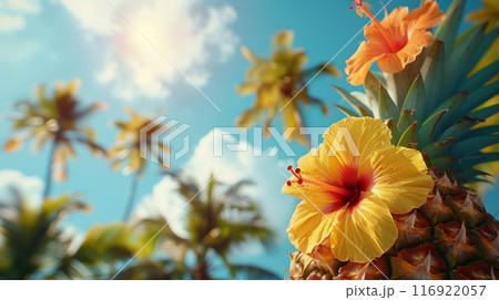 ハイビスカスとパイナップル ハイビスカスとパイナップル 116922057