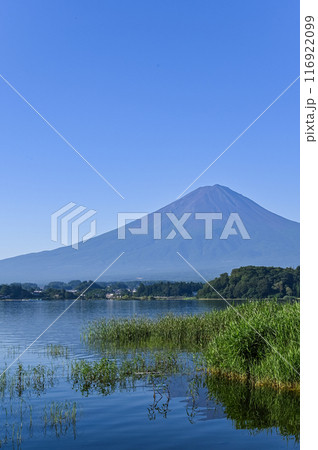 山梨県河口湖と富士山 116922099