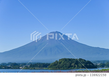 山梨県河口湖と富士山 山梨県河口湖と富士山 116922150