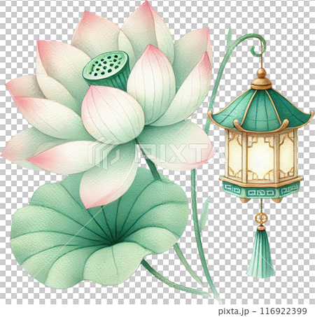 Mid Autumn festival, Lotus Flower with Lantern Illustration 116922399