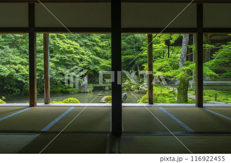 新緑の蓮華寺 額縁庭園(京都市左京区上高野) 新緑の蓮華寺 額縁庭園(京都市左京区上高野) 116922455