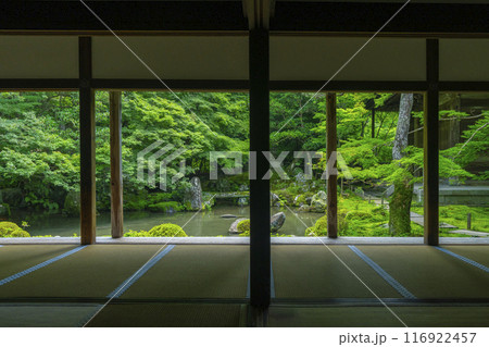 新緑の蓮華寺　額縁庭園（京都市左京区上高野） 116922457