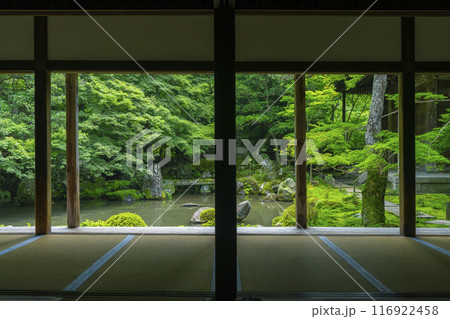 新緑の蓮華寺　額縁庭園（京都市左京区上高野） 116922458