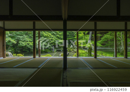 新緑の蓮華寺　額縁庭園（京都市左京区上高野） 116922459