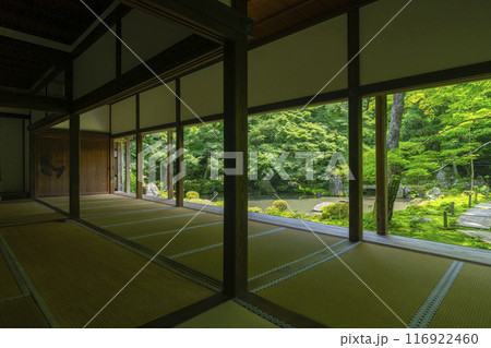 新緑の蓮華寺　額縁庭園（京都市左京区上高野） 116922460