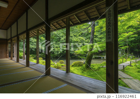 新緑の蓮華寺 額縁庭園(京都市左京区上高野) 新緑の蓮華寺 額縁庭園(京都市左京区上高野) 116922461