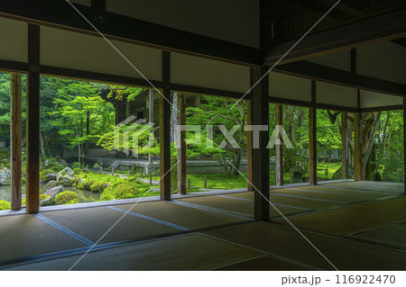 新緑の蓮華寺　額縁庭園（京都市左京区上高野） 116922470