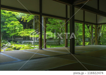 新緑の蓮華寺 額縁庭園(京都市左京区上高野) 新緑の蓮華寺 額縁庭園(京都市左京区上高野) 116922474