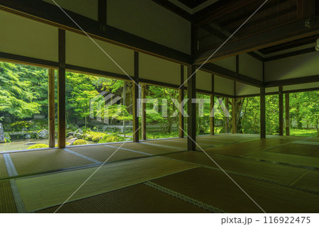 新緑の蓮華寺　額縁庭園（京都市左京区上高野） 116922475