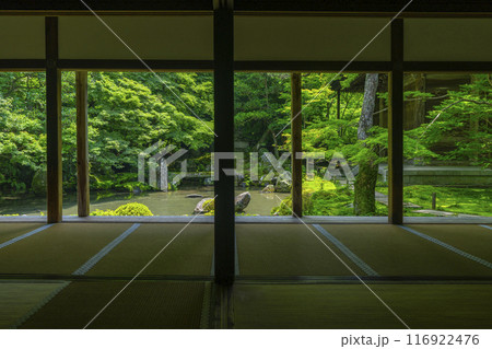 新緑の蓮華寺　額縁庭園（京都市左京区上高野） 116922476