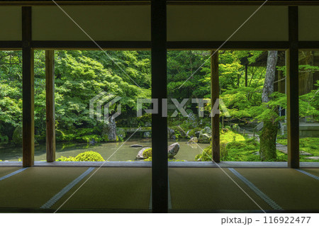 新緑の蓮華寺　額縁庭園（京都市左京区上高野） 116922477