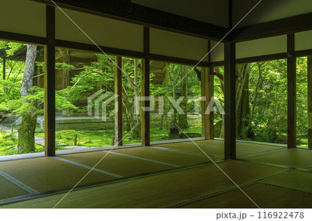 新緑の蓮華寺　額縁庭園（京都市左京区上高野） 116922478