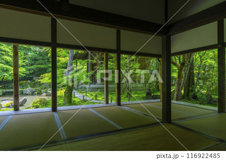 新緑の蓮華寺 額縁庭園(京都市左京区上高野) 新緑の蓮華寺 額縁庭園(京都市左京区上高野) 116922485