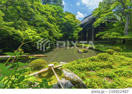 新緑の蓮華寺 庭園と本堂(京都市左京区上高野) 新緑の蓮華寺 庭園と本堂(京都市左京区上高野) 116922487