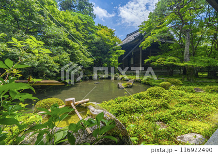 新緑の蓮華寺 庭園と本堂(京都市左京区上高野) 新緑の蓮華寺 庭園と本堂(京都市左京区上高野) 116922490