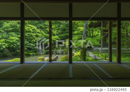 新緑の蓮華寺　額縁庭園（京都市左京区上高野） 116922493