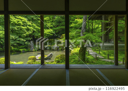 新緑の蓮華寺 額縁庭園(京都市左京区上高野) 新緑の蓮華寺 額縁庭園(京都市左京区上高野) 116922495